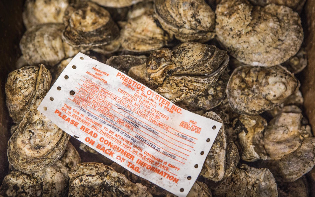 Seafood Traceability Nets New Benefits