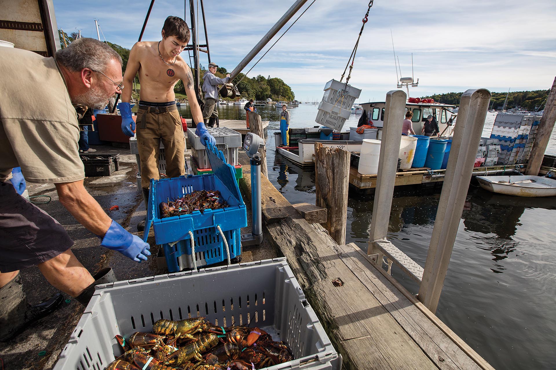 Food Movers: Chasing Maine Lobsters