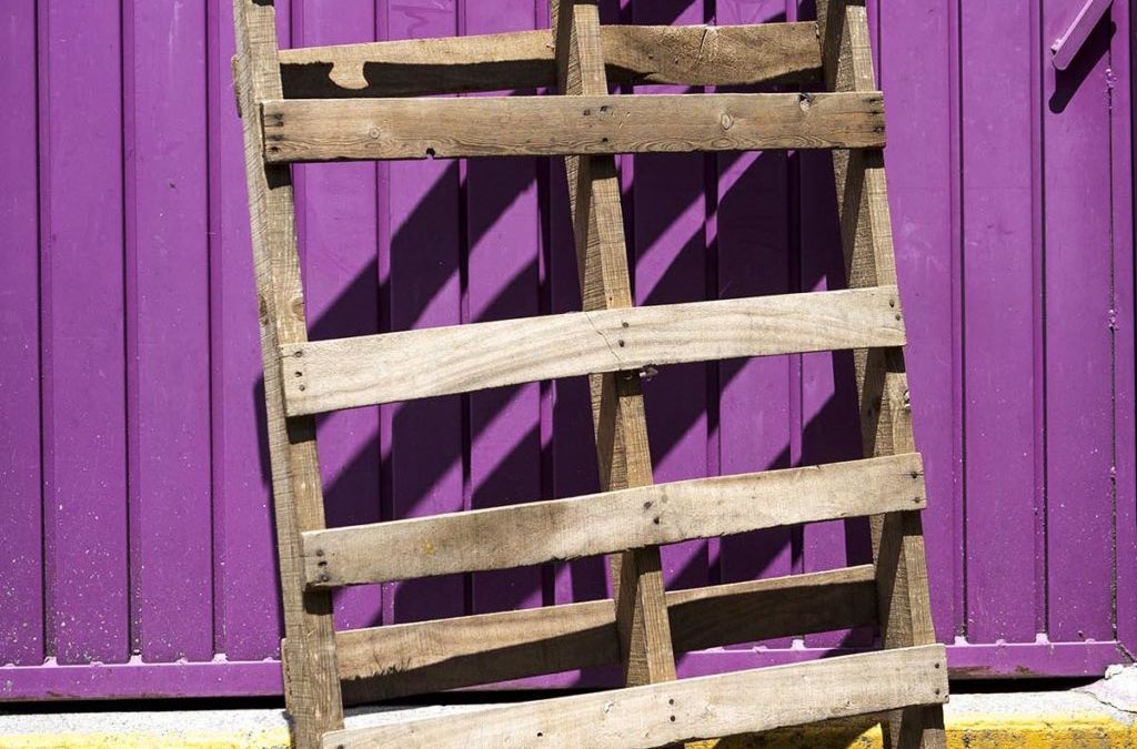 Food Movers: The Pallet Puzzle