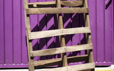 Food Movers: The Pallet Puzzle