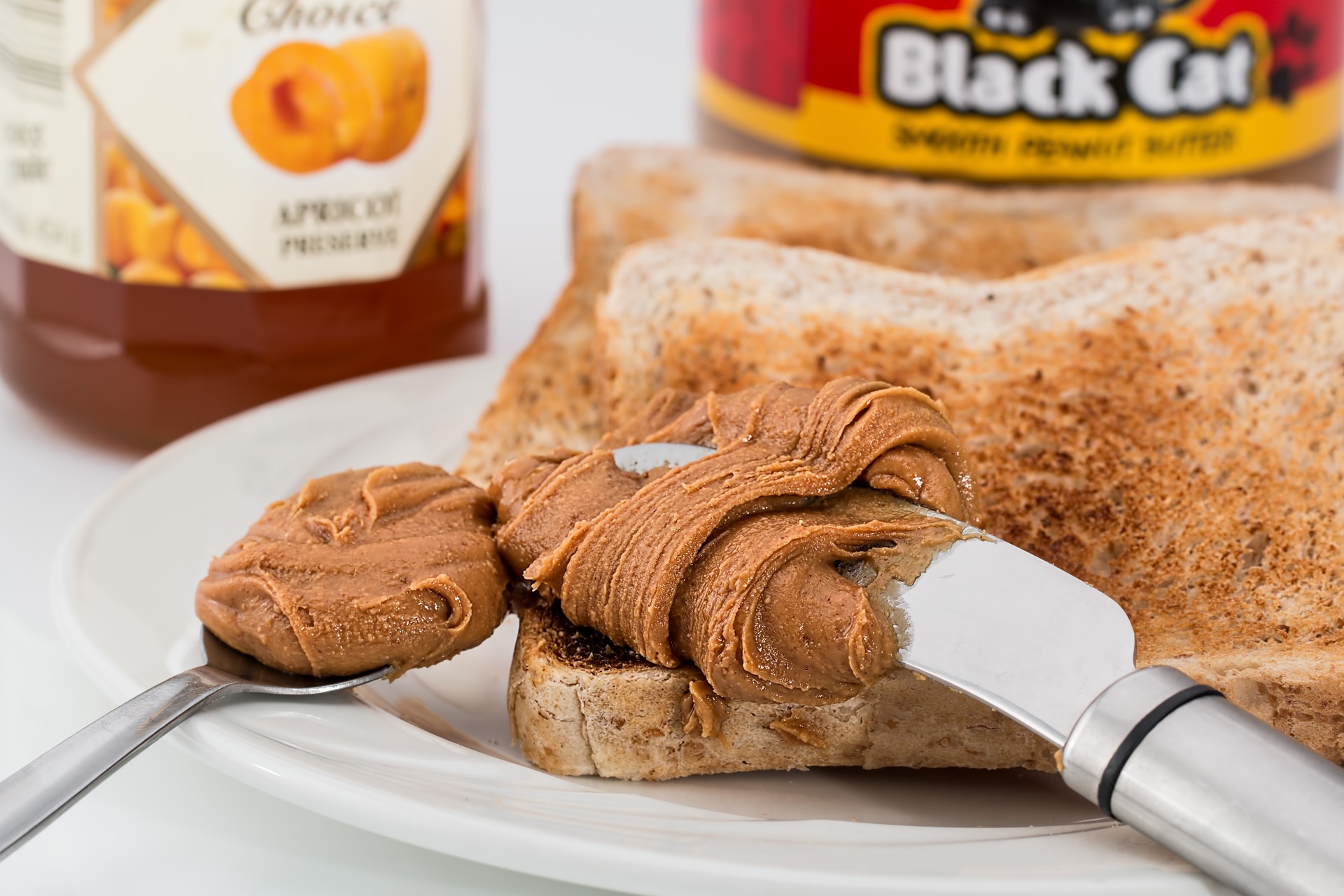 What’s in a Peanut Butter and Jelly Sandwich? Far More Than You’d Think